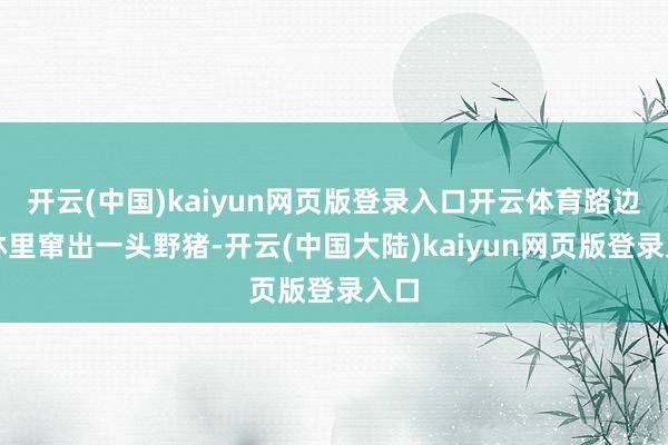 开云(中国)kaiyun网页版登录入口开云体育路边森林里窜出一头野猪-开云(中国大陆)kaiyun网页版登录入口