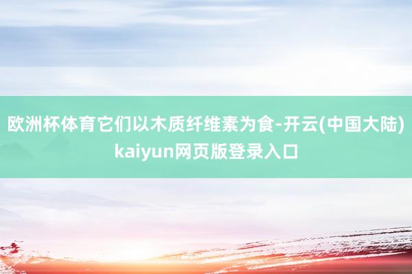 欧洲杯体育它们以木质纤维素为食-开云(中国大陆)kaiyun网页版登录入口